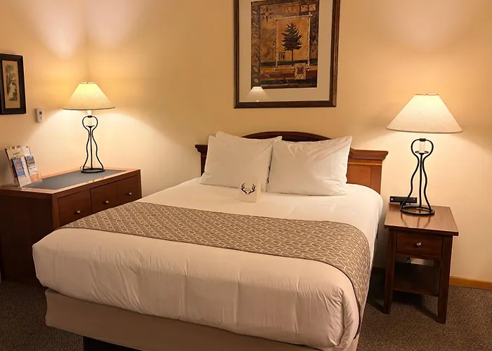 Whitetail Creek Resort Lead