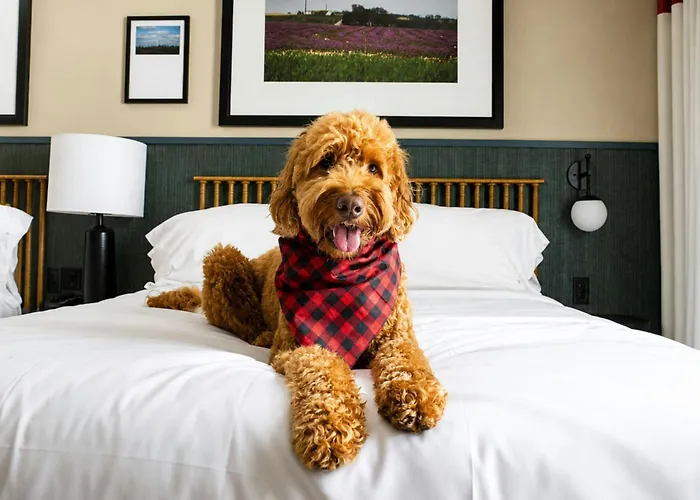 The Scarlet, Lincoln, A Tribute Portfolio Hotel
