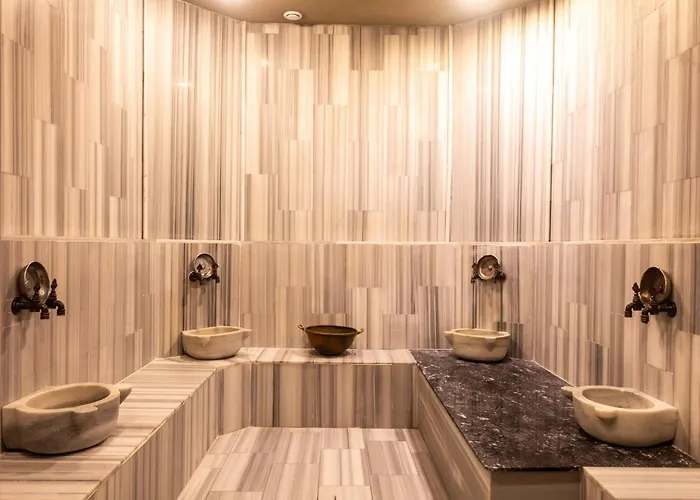 The Sign Degirmen Hotel&Spa Wellness Ağva