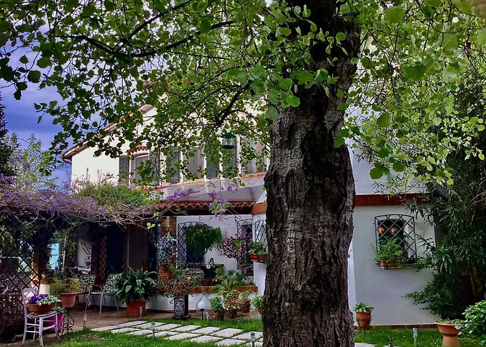 La Bricola Hotel Cavallino-Treporti