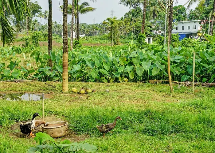 Spot On Shalom Palace Residency Neriyamangalam