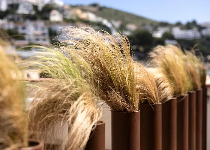 Can Miquel L' Escala