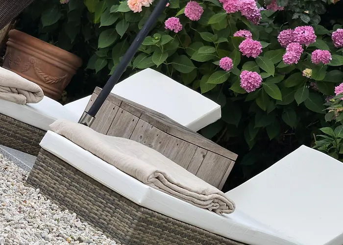Cozy Boutique B&B De Roos&Garden Lounge Leeuwarden