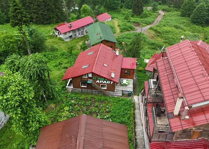 Ayder Palas Apart Hotel