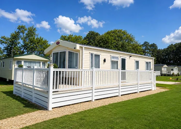 Forest Haven Sway