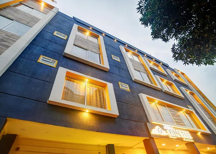 Super Townhouse Pine Tree Hotel Indore