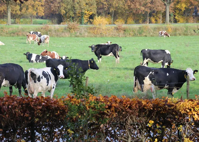 B&B Even Heukelom - Kamer Met Tuin Afferden 