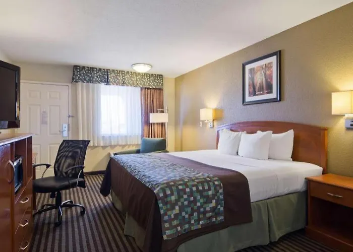 Best Western Windsor Inn Dumas