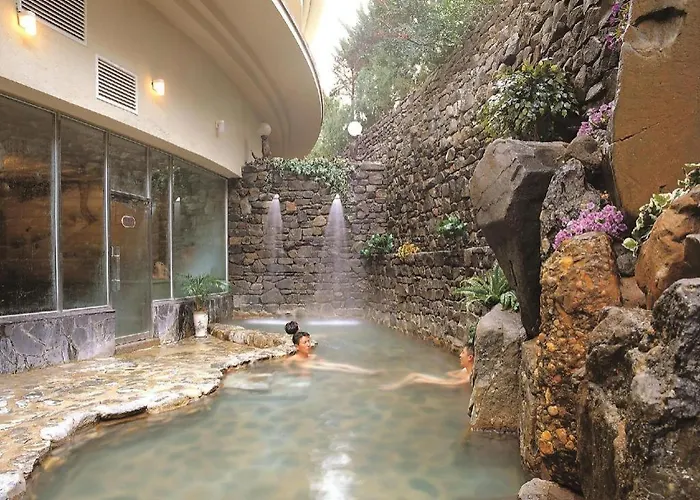 Onyang Hot Spring Hotel Asan