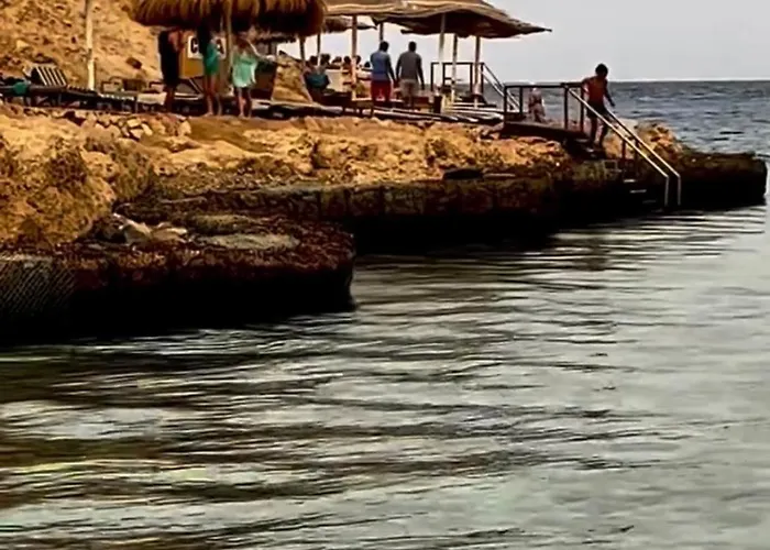 Domina Coral Bay Oasis Hotel Sharm el-Sheikh