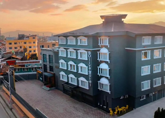 The Olive Hotel Srinagar