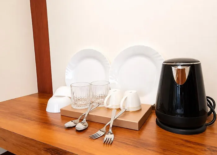 Ss Luxury Comforts - Twin Sharing Chikmagalur