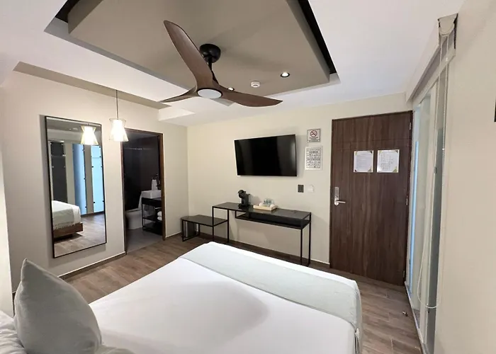 Casa Olea Hotel Mexico City