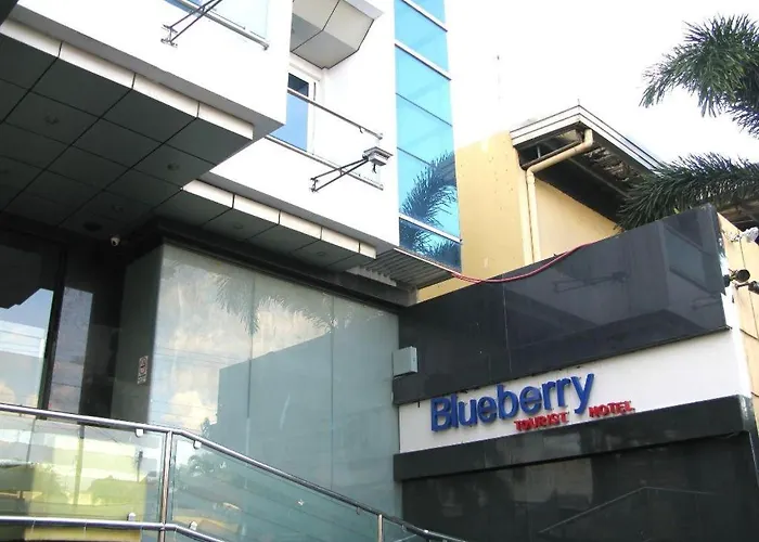 Blueberry Tourist Hotel Davao