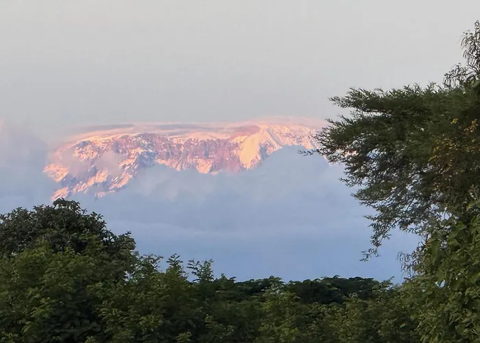 Moyoni Africa Lodge & Tours Arusha
