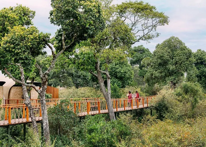 The Ritz-Carlton, Masai Mara Safari Camp Hotel