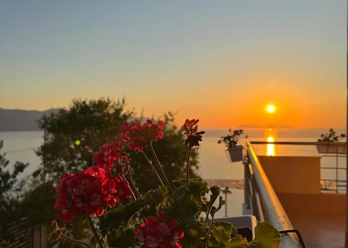 Samos Home Vlore