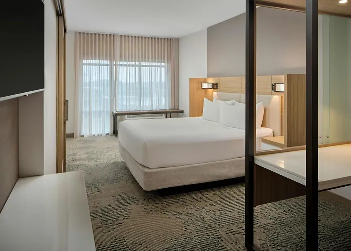 Springhill Suites By Marriott High Point Downtown