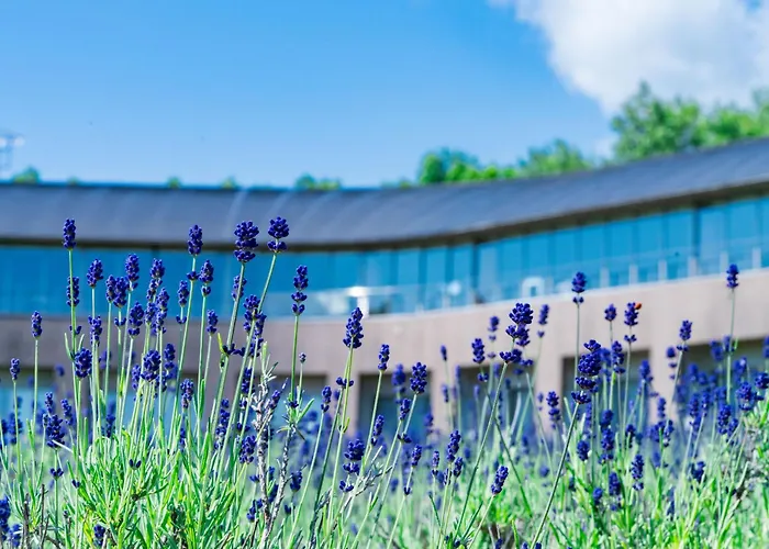 Furano Hotel 富良野ホテル