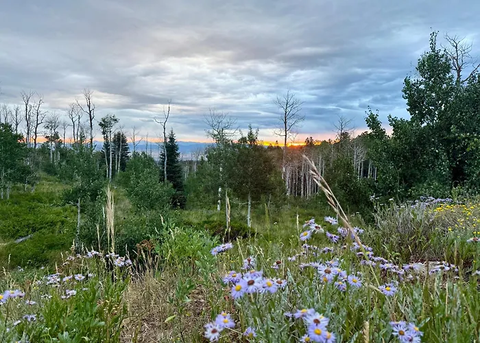 Elk Mountain Resort Montrose