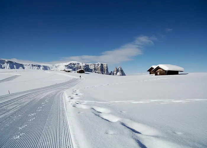 Hotel Adler Alpe Seiser Alm