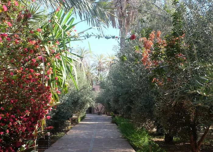 Riad Amsterdam Palmuraie Marrakesh