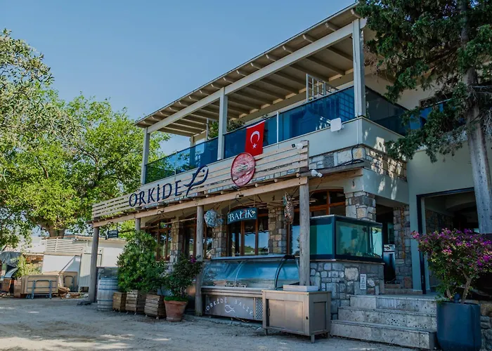 Orkide Bodrum