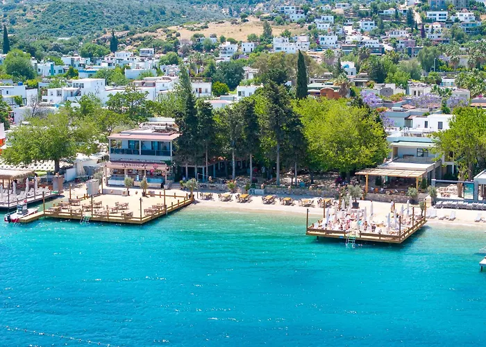 Orkide Bodrum
