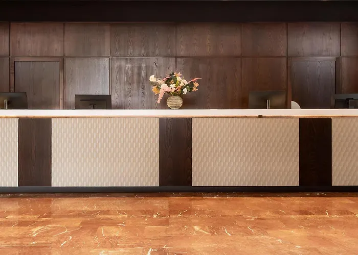 Hilton Strasbourg Otel