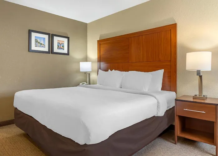 Comfort Inn & Suites Charleston Airport Convention Center North Charleston