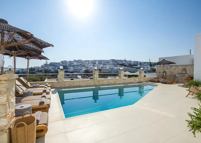 Paliomylos Spa Hotel Naousa 