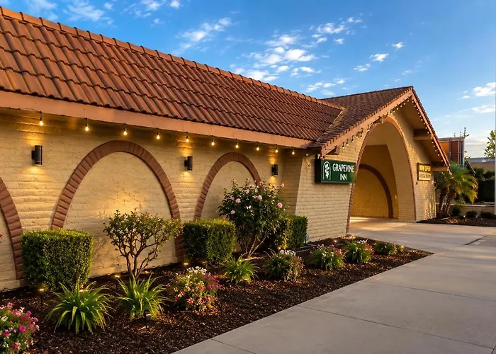 Grapevine Inn Lodi