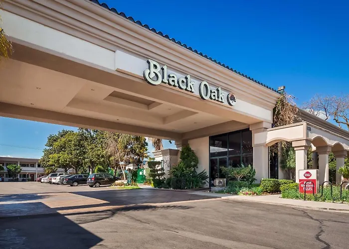 Best Western Plus Black Oak El Paso de Robles