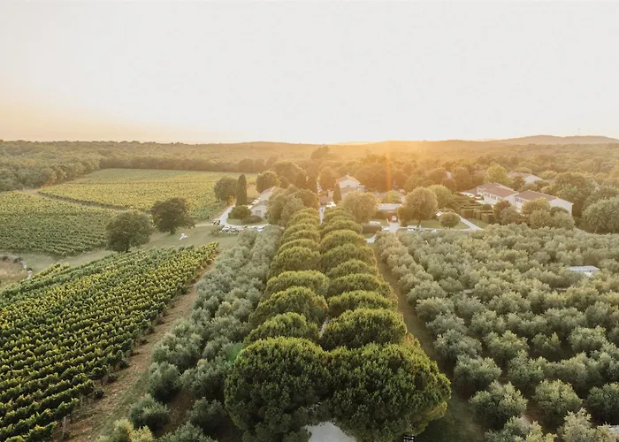 Meneghetti Wine Hotel&Winery - Relais&Chateaux Bale