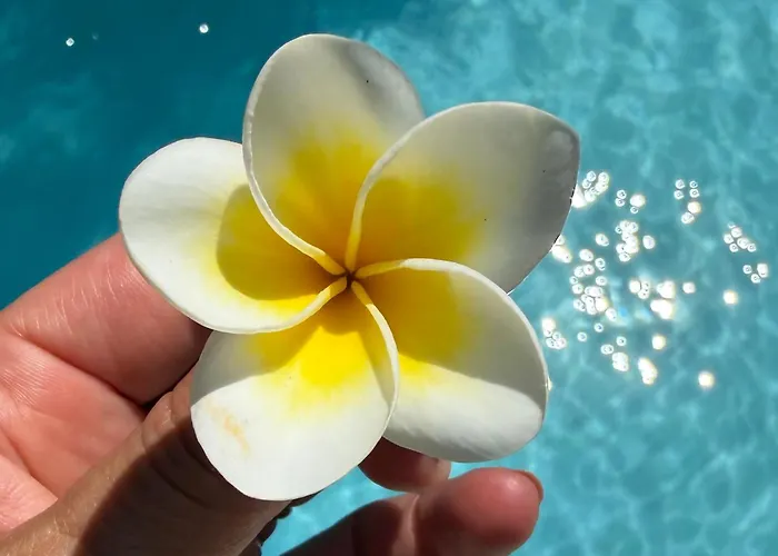 Lucy'S Garden Hotel Gili Air
