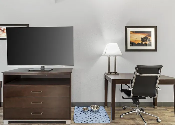 Best Western Plus Lake Jackson Inn & Suites