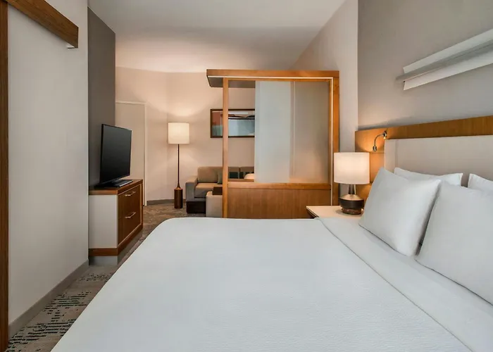 Springhill Suites By Marriott Buffalo Airport Williamsville