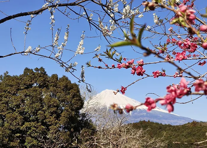 Hotel Route-Inn Fuji Chuo Koen Higashi