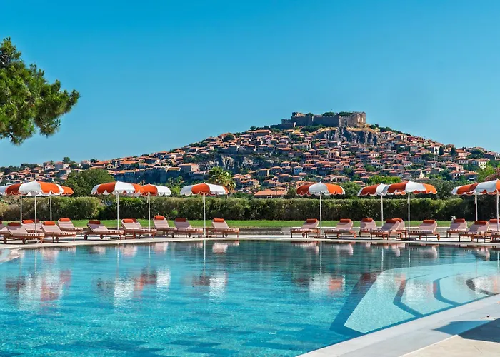 Hotel Delfinia Mithimna