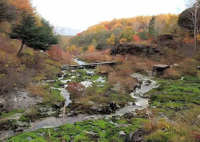 Kusatsu Onsen Nisshinkan