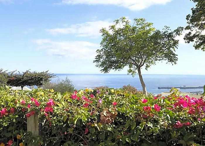Apartamentos Quinta Mae Dos Homens Funchal 