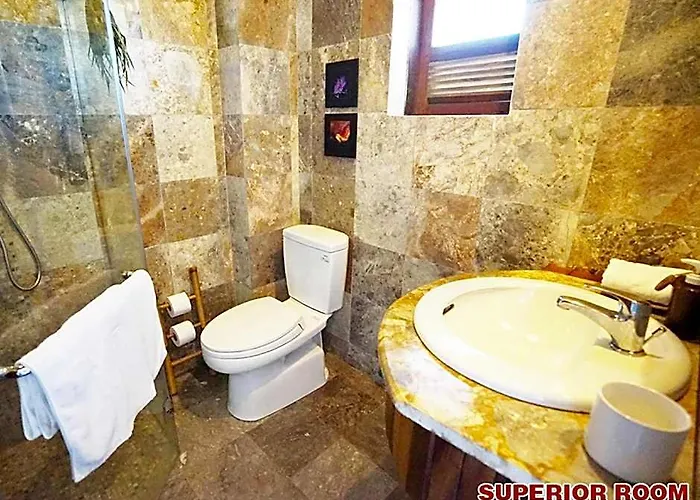 Cat Tuong Boutique Villas Hoi An