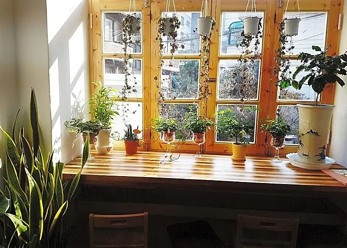 Time Travelers Relax Seoul Guesthouse - Foreigners Only