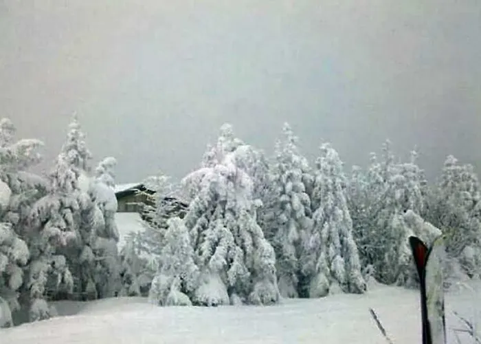 The Inn At Mount Snow West Dover
