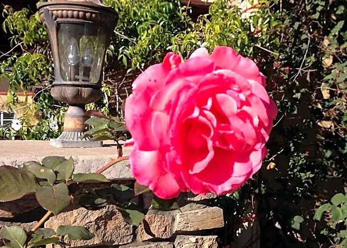 Leucadia Beach Inn Encinitas