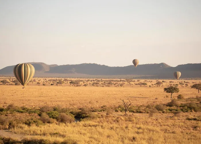 Melia Serengeti Lodge Member Of Melia Collection