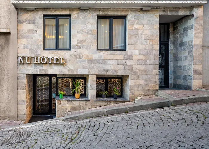 Sultanahmet Nu Hotel Istanboel