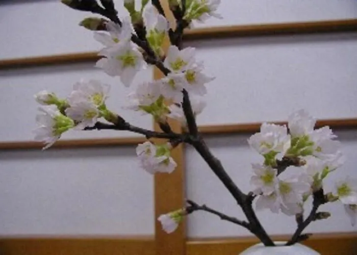Wakaba Ryokan / Vacation Stay 29362 Sakata