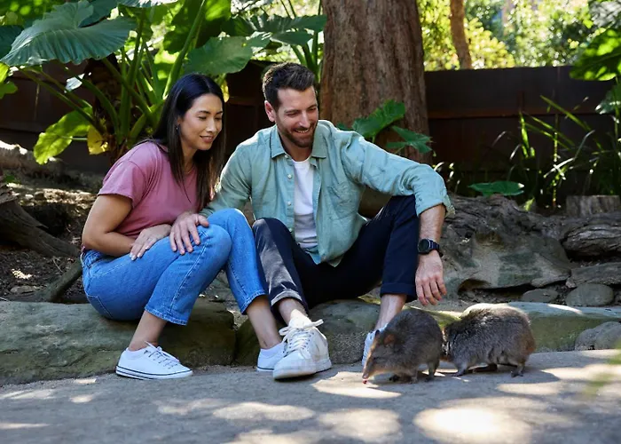 Wildlife Retreat At Taronga Hotel Sydney
