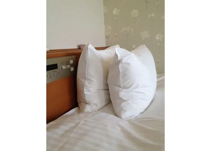 Tottori City Hotel / Vacation Stay 81356